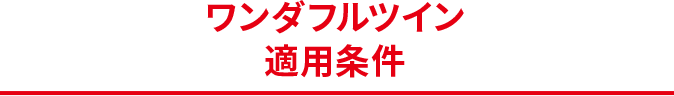 ワンダフルツイン適用条件
